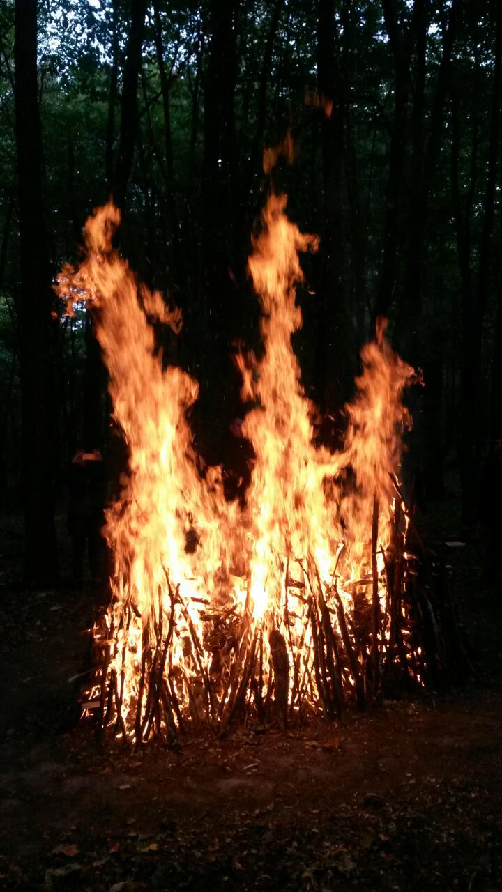 Огонь (1)